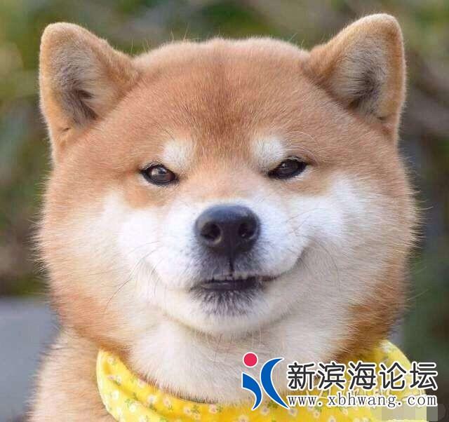 20180920581091537426697095583.jpg