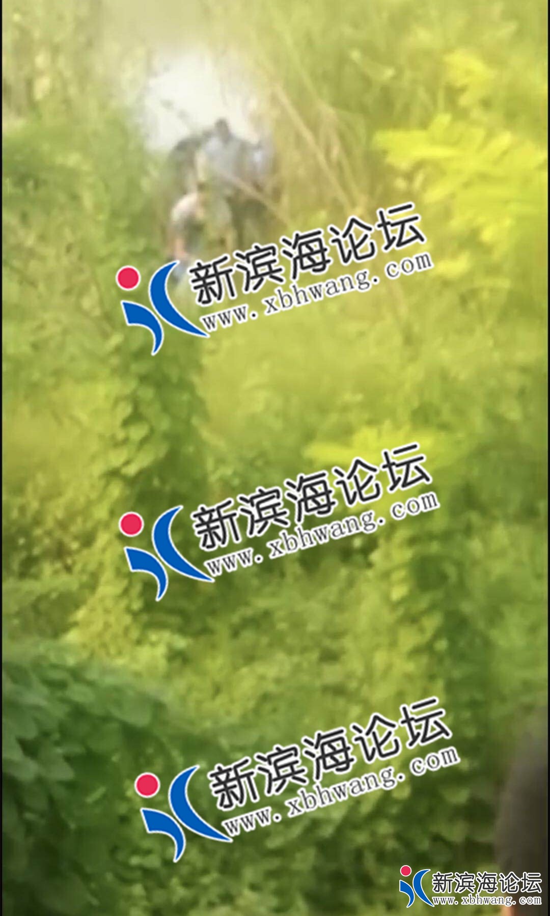 微信图片_20180923180631.jpg
