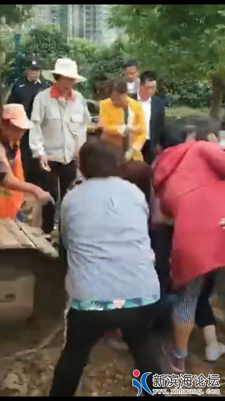 2018092561022153788684292197.jpg