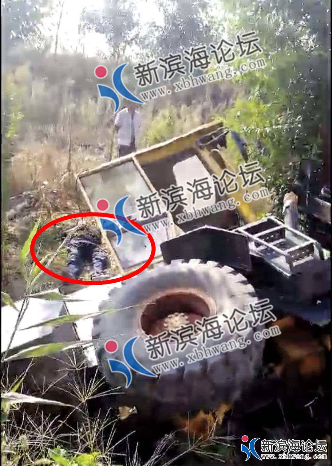 微信图片_20181004104646.jpg