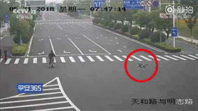20181013_39460_1539437951977.gif
