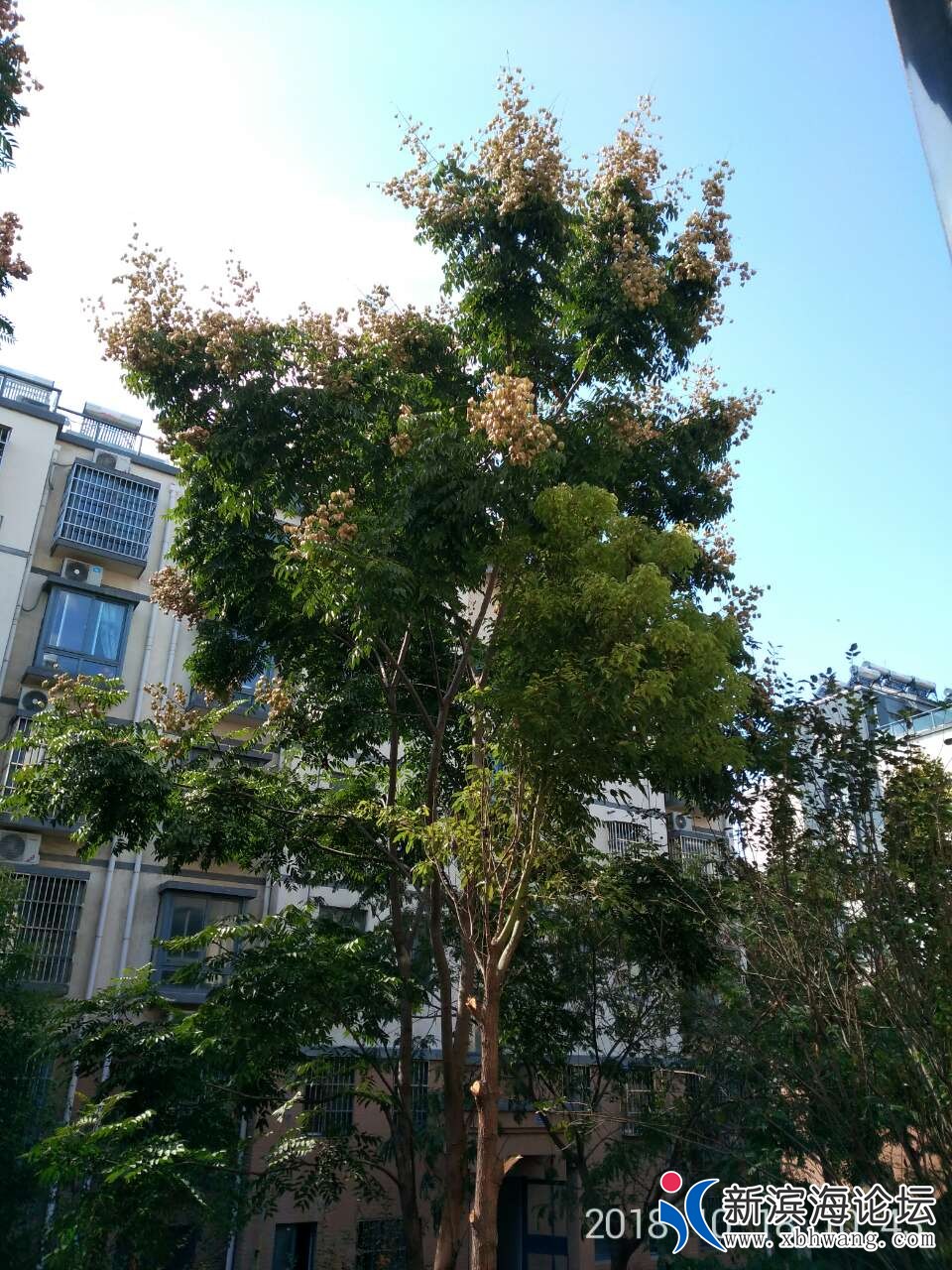 20181018_61842_1539831671957.jpg