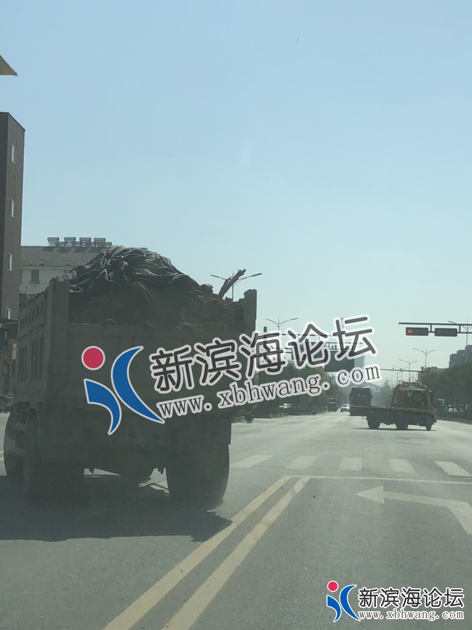 163642cvf8pwgc8b5kt8dx.jpg