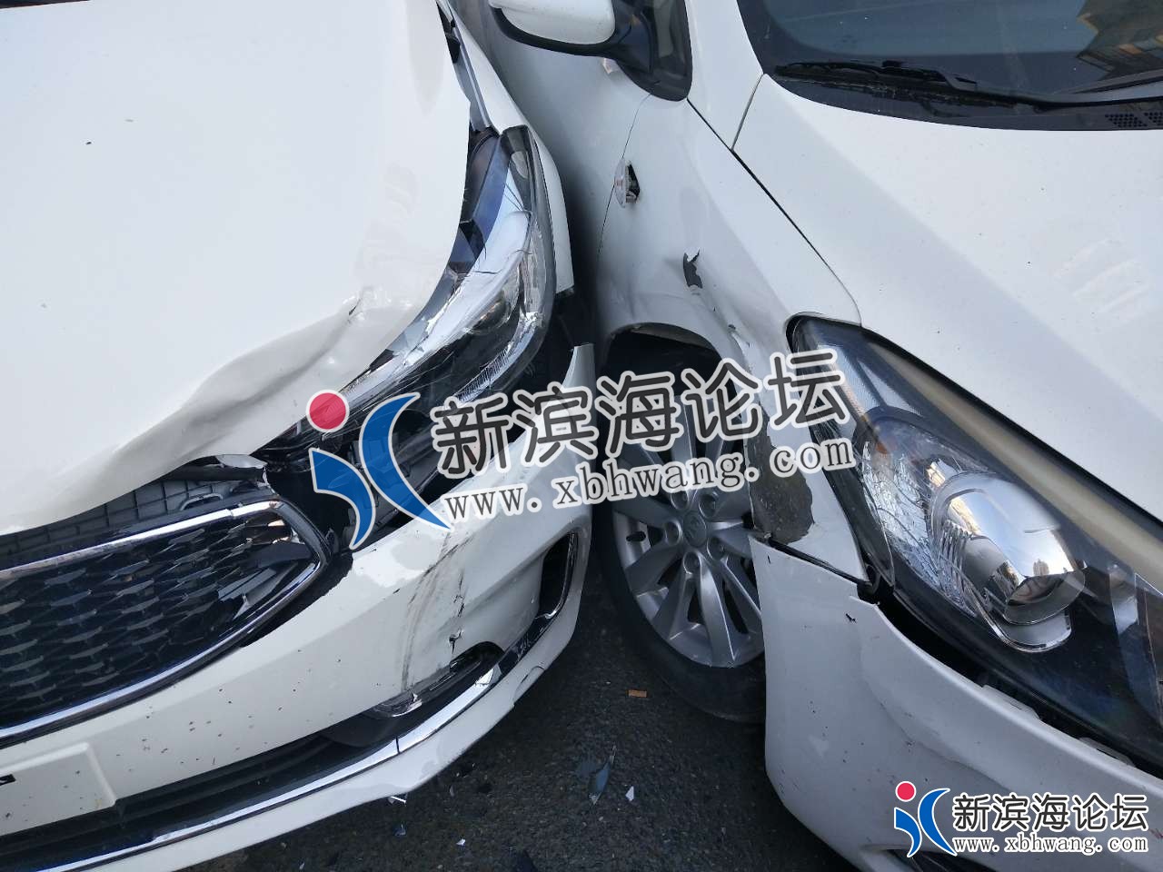 095318v43z4pepprnoxr8u_副本.jpg