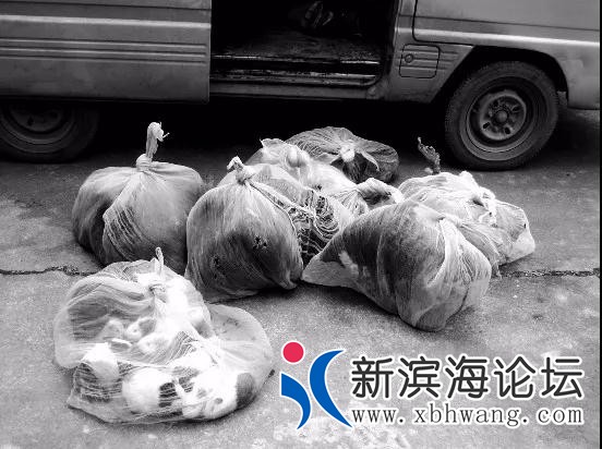 微信图片_20181106142808.jpg