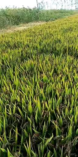 20181109_61400_1541705499248.jpg