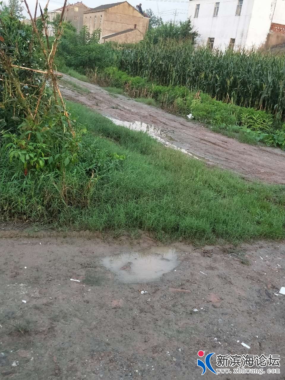 20181109_62311_1541727913354.jpg