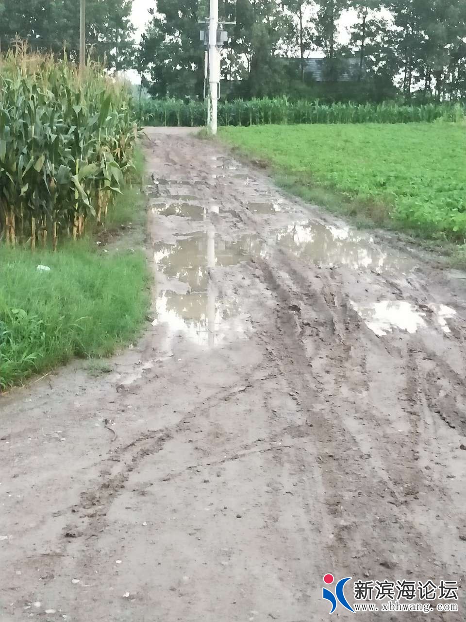 20181109_62311_1541727914122.jpg