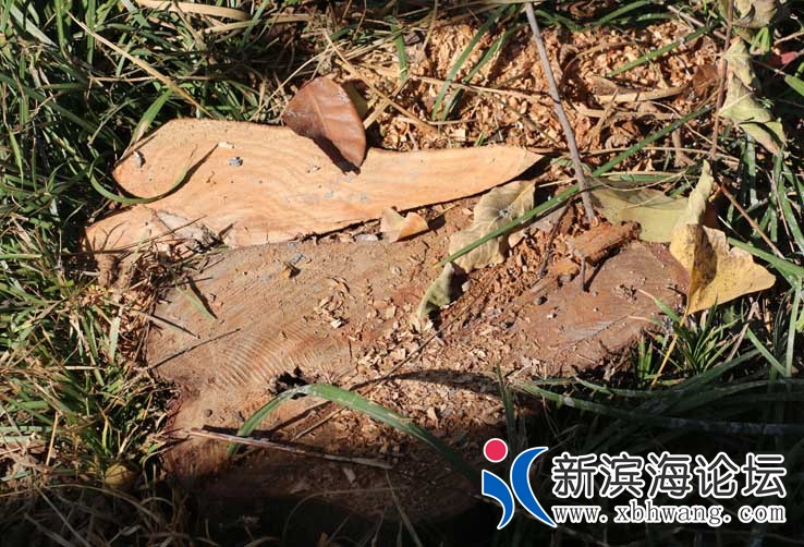 IMG_8687_看图王.jpg