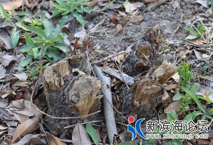 IMG_8670_看图王.jpg