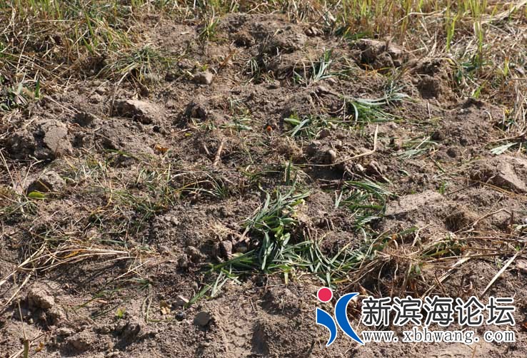 IMG_8743_看图王.jpg