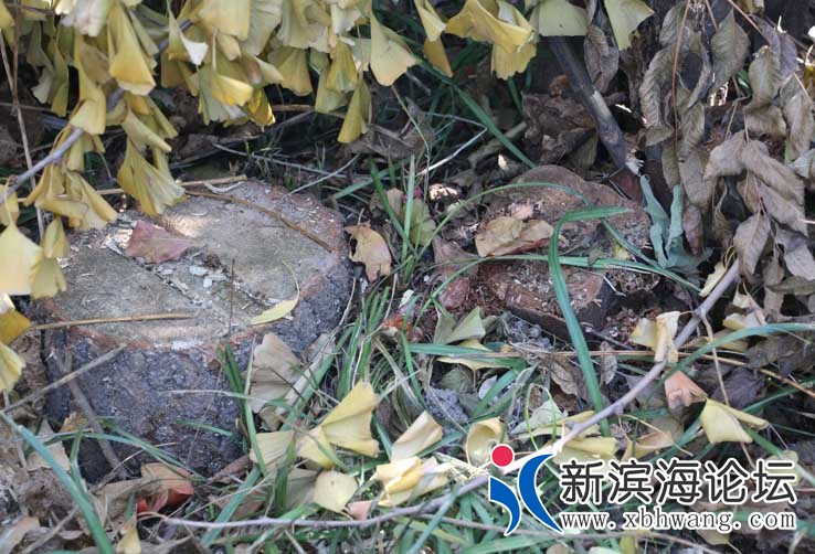 IMG_8752_看图王.jpg