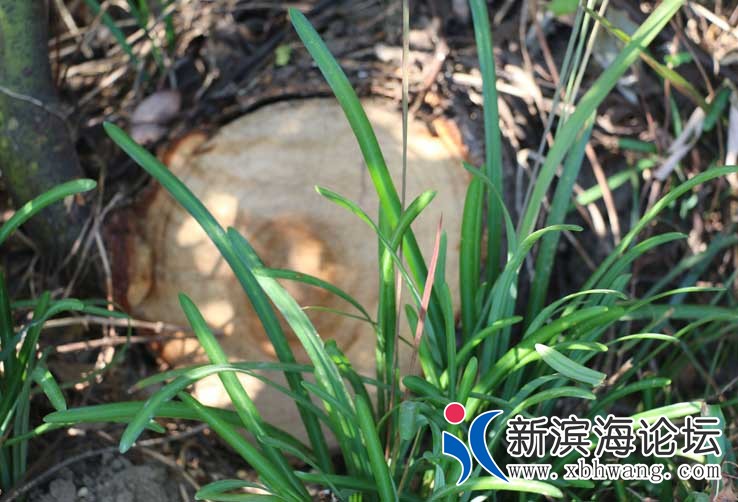 IMG_8749_看图王.jpg
