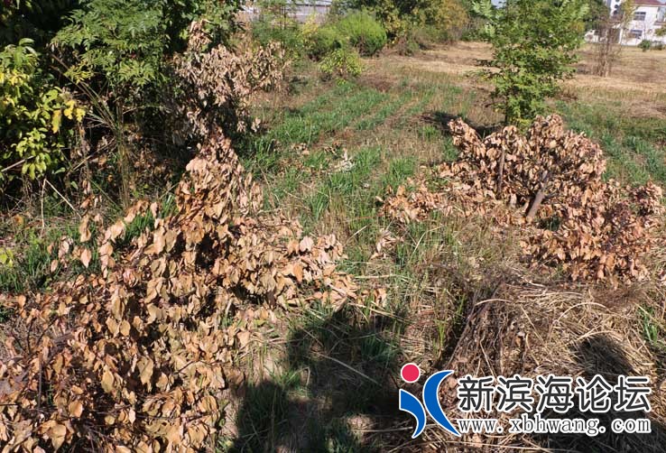 IMG_8747_看图王.jpg