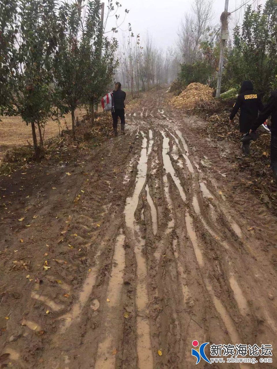 20181112609871542015710135811.jpg