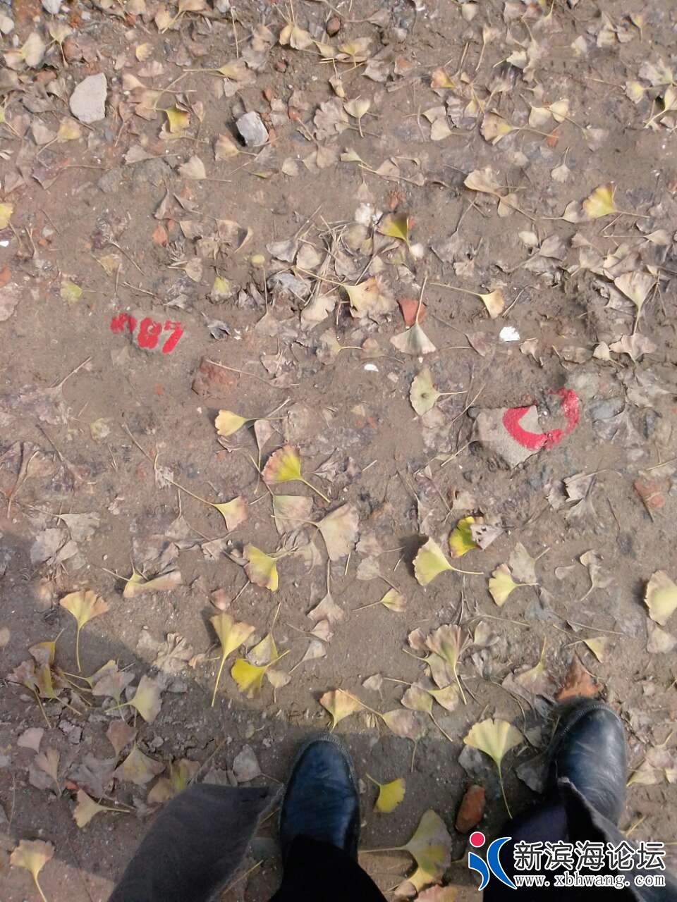 20181119_44234_1542601533475.jpg