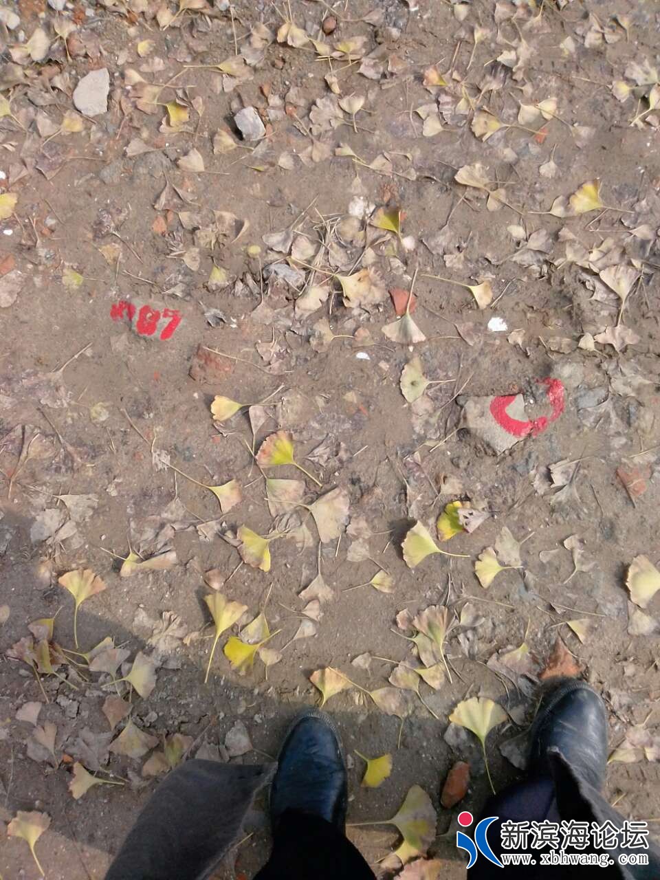 20181119_44234_1542601534243.jpg