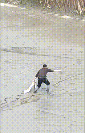 微信图片_20181121091757.gif