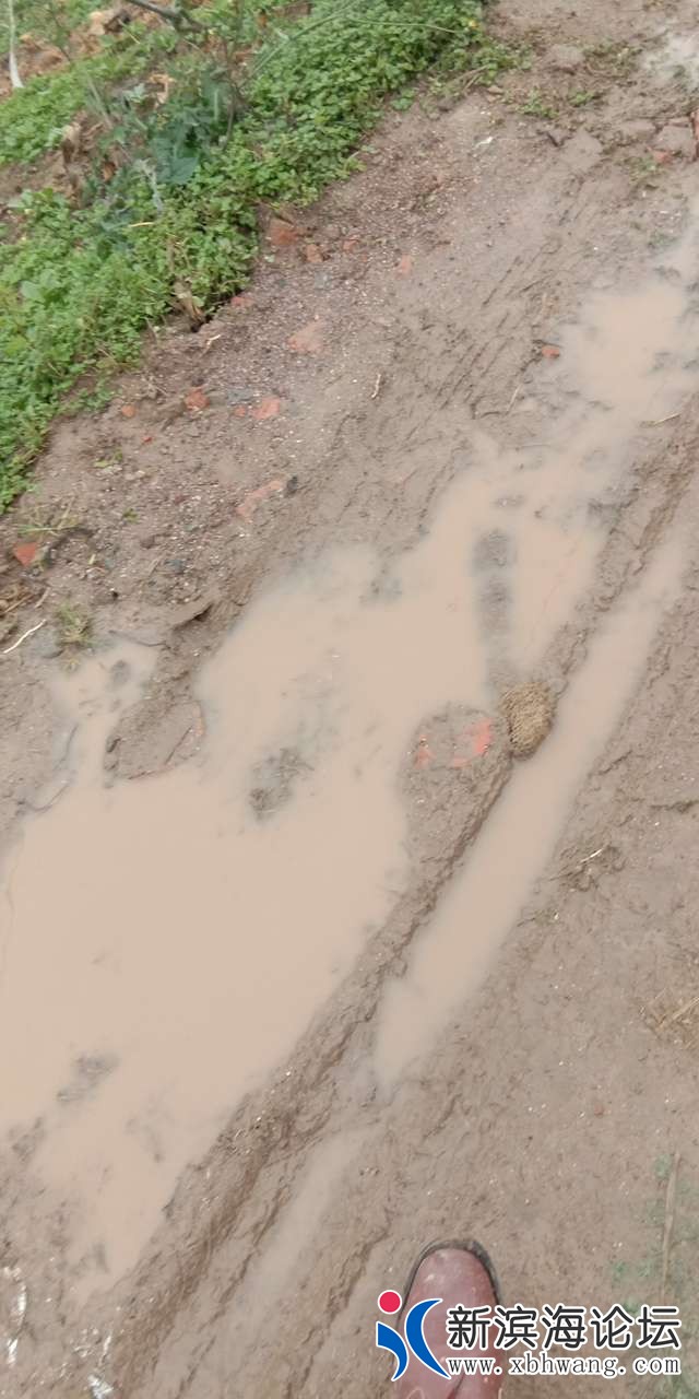 20181121_61960_1542773068194.jpg