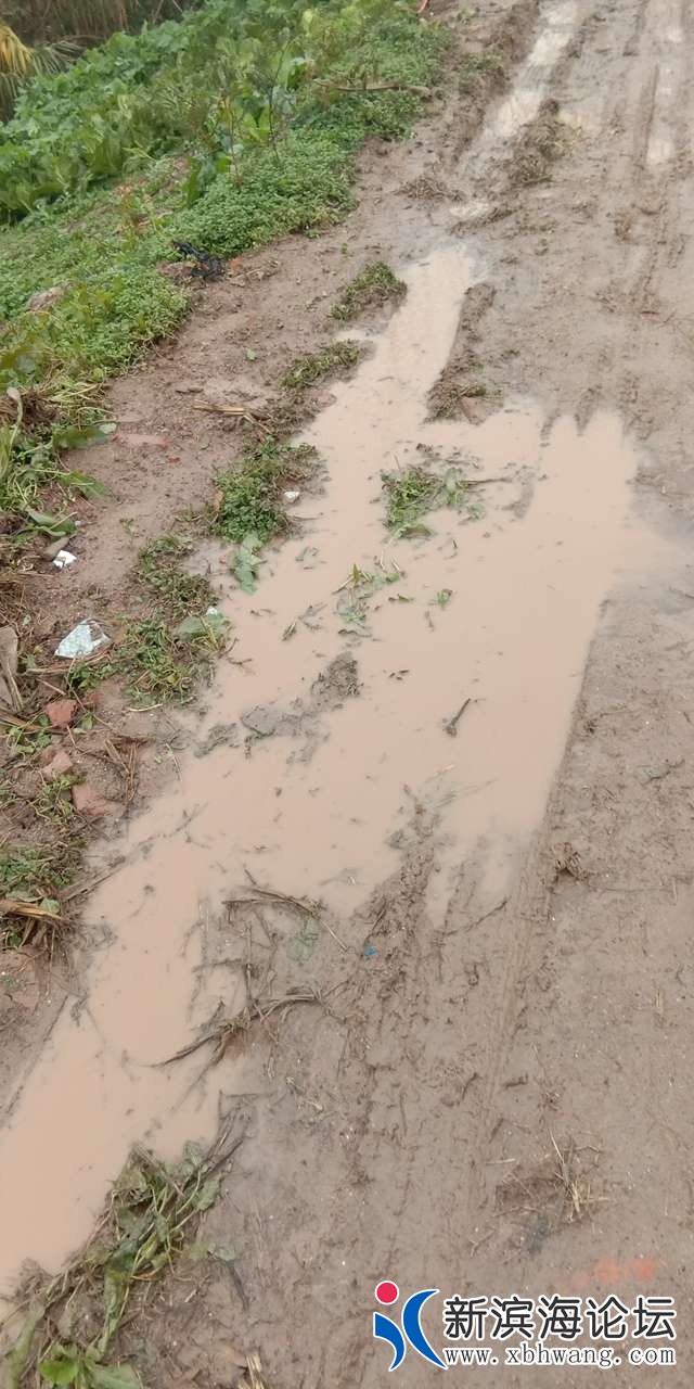 20181121_61960_1542773014301.jpg