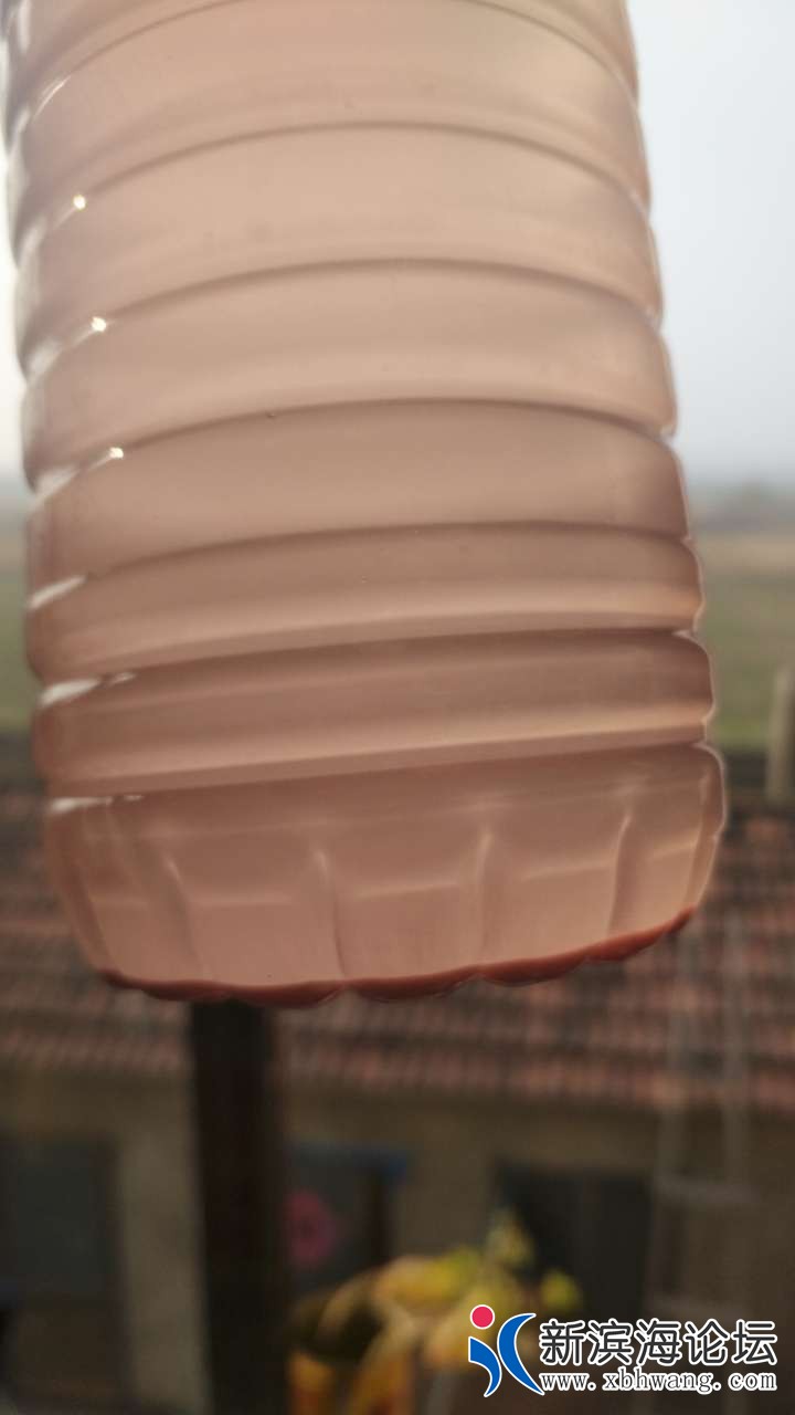 20181127_59600_1543314330004.jpg
