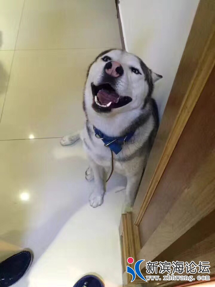20181130610351543586461991291.jpg