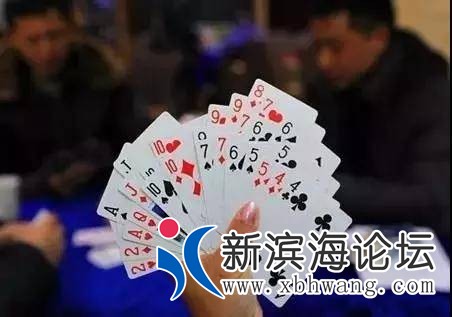 095835yii6wyx6ppet4t44.jpg.thumb.jpg
