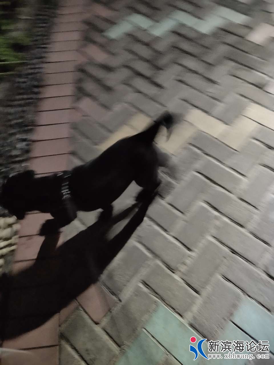 20181211_48368_1544533005445.jpg