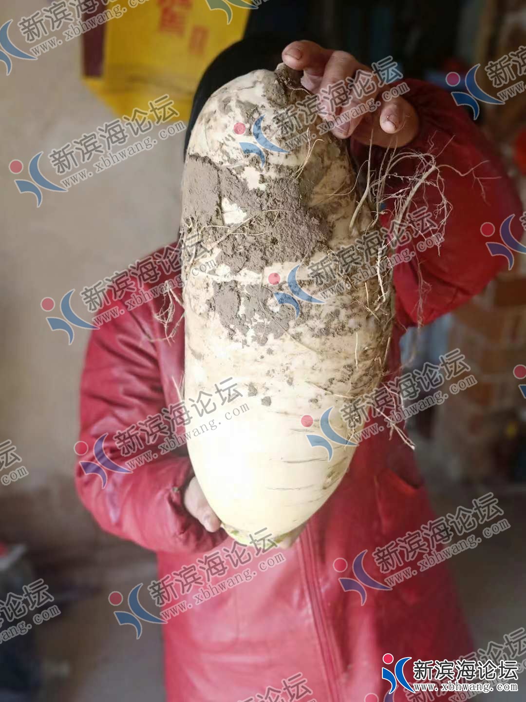 微信图片_20181213112019_副本.jpg