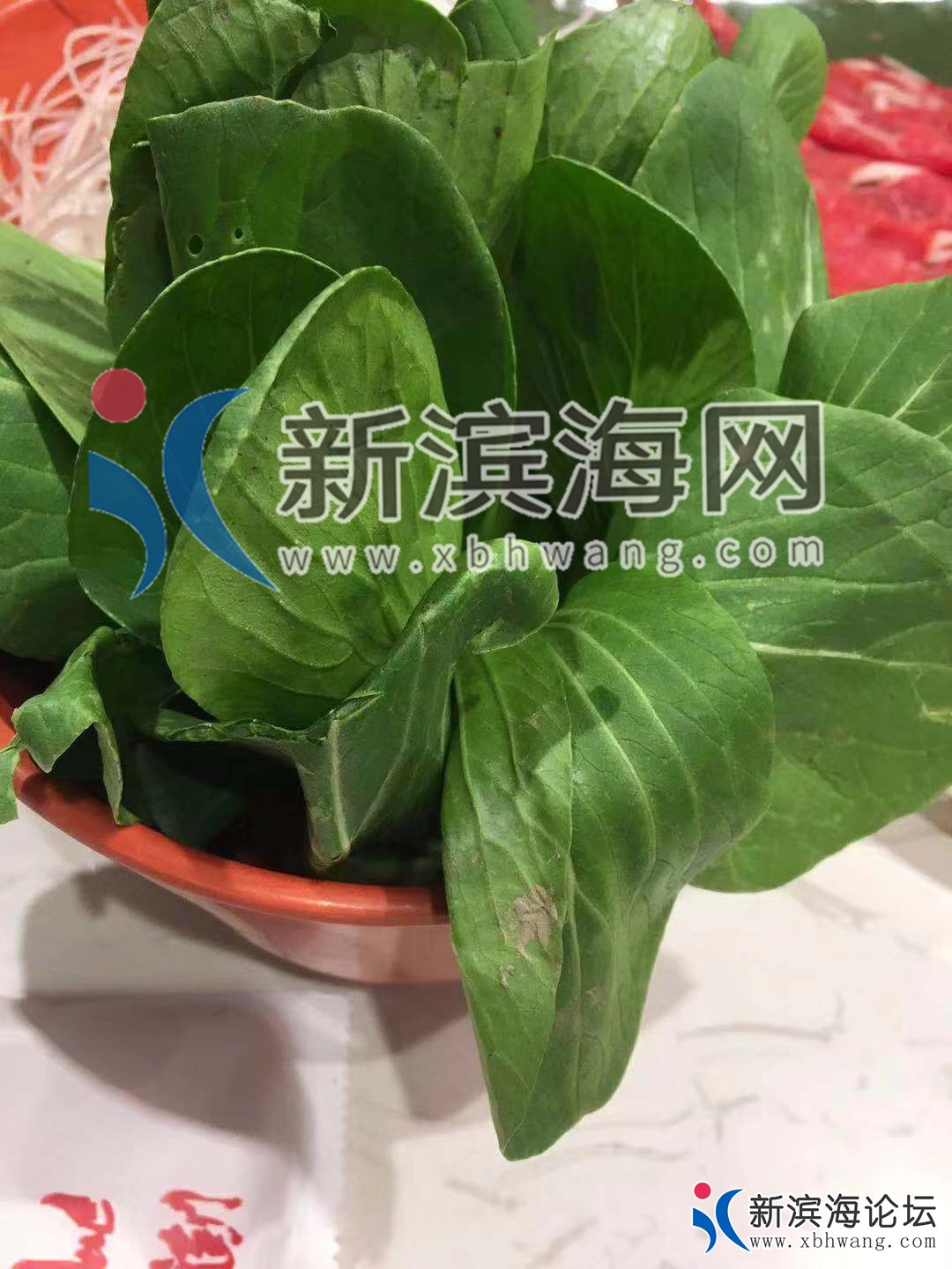 微信图片_20181215114115_副本.jpg