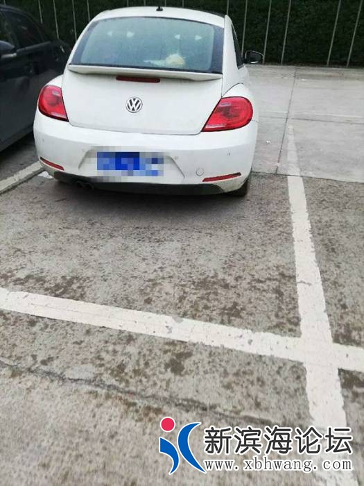 085323z969eaaedr1rr96e.jpg.thumb.jpg