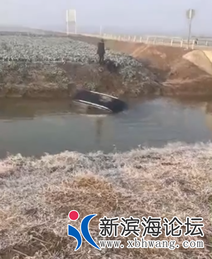 140427zibi46q3qjqg4i4s.png.thumb.jpg