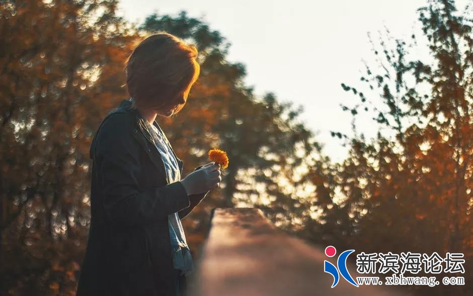 微信图片_20181220134805.jpg