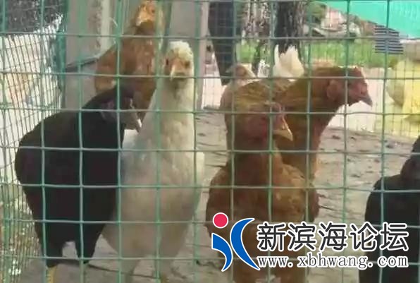微信图片_20181221171841.jpg