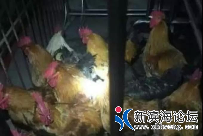微信图片_20181221171900.jpg