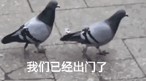 20181226_15974_1545799928422.gif