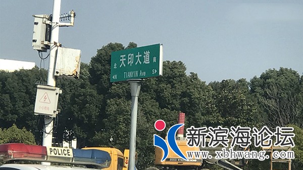 15459585911365.jpg