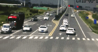 20190101_15974_1546346945202.gif