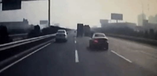 20190101_15974_1546346945236.gif