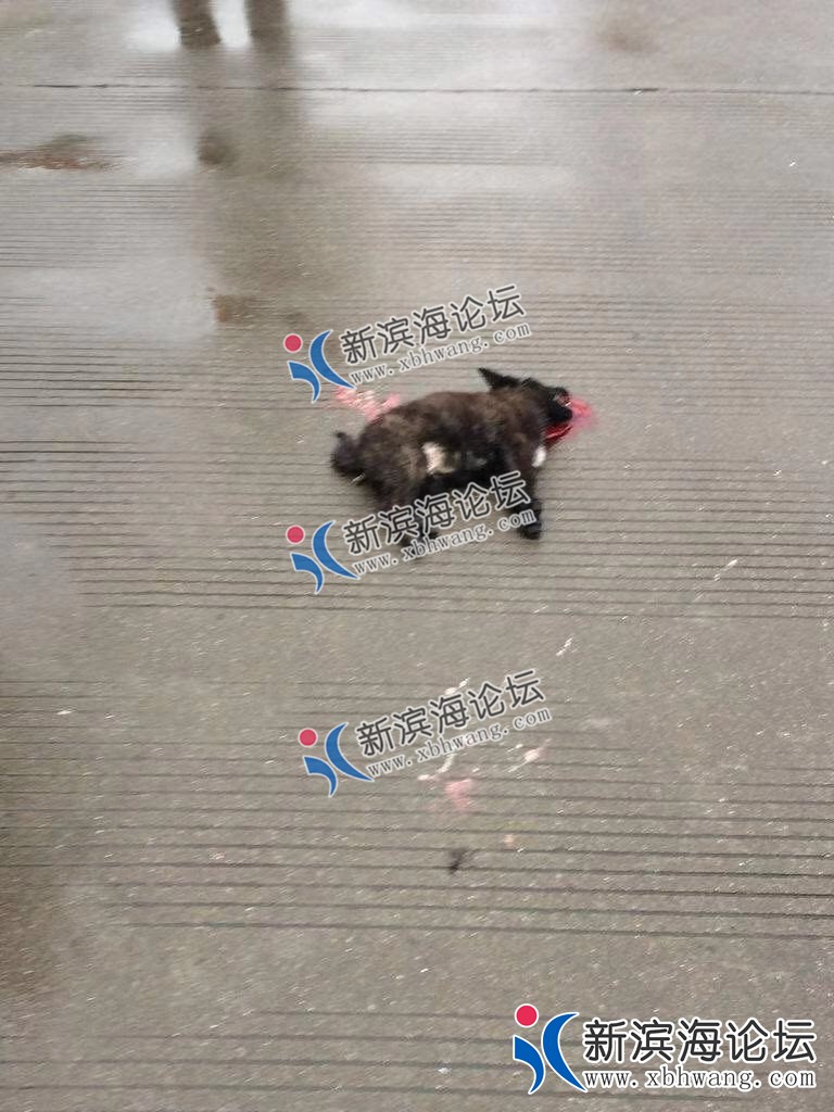 微信图片_20190102110644.jpg