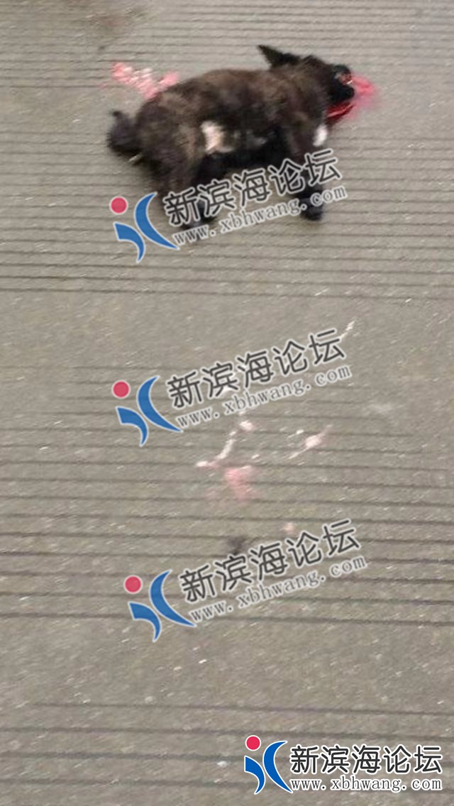 微信图片_20190102110640.jpg