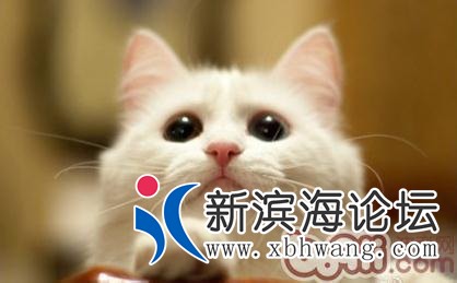 u=2486493351,1519881103&amp;fm=26&amp;gp=0.jpg