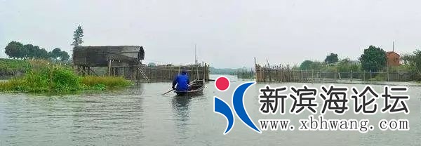 084903c2kibvtkigot72qq.jpg
