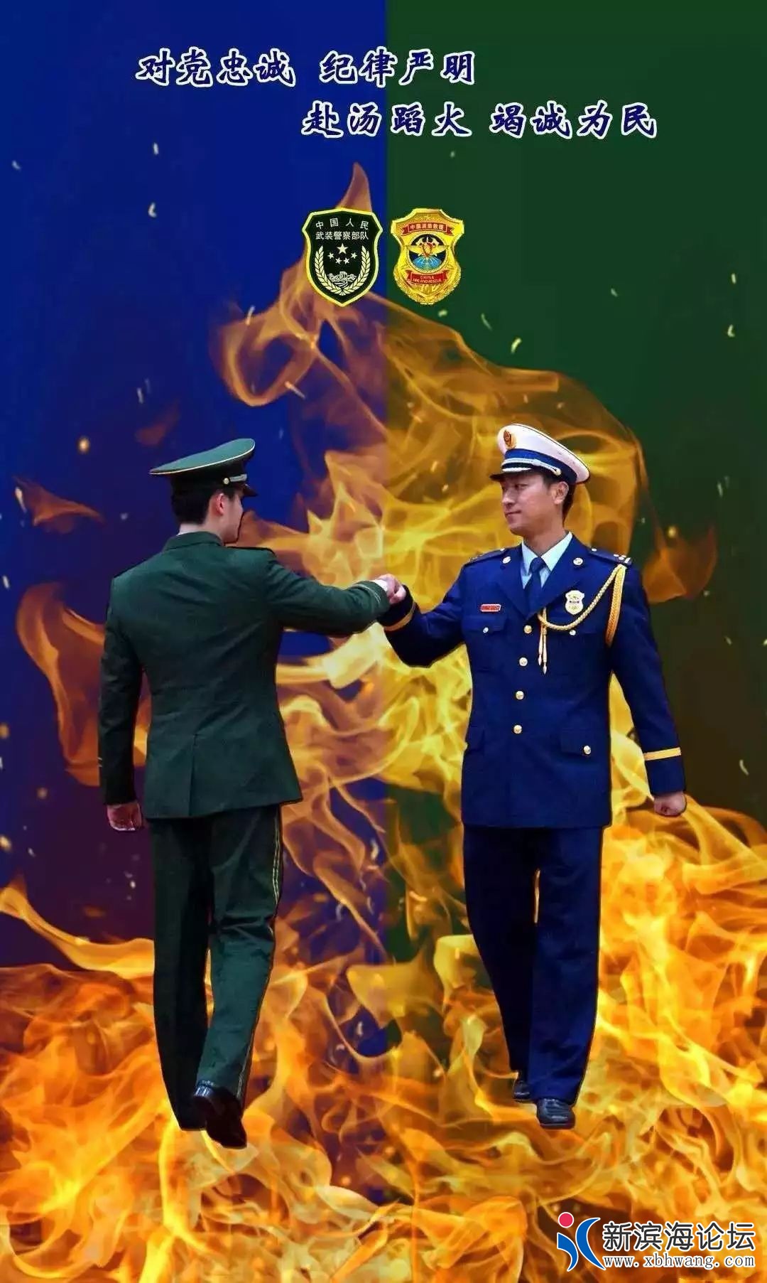 141659vm1ysosbo36fgvs3.jpg