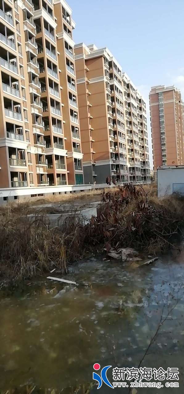 20190108_45855_1546945291364.jpg