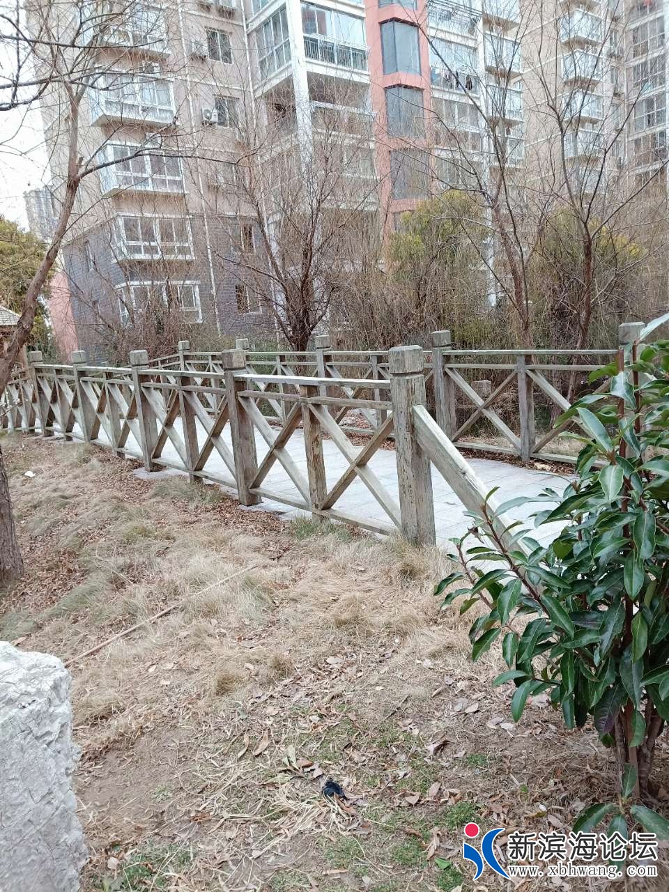 20190109_61525_1547022907607.jpg