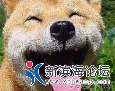 u=3375856865,2393189317&amp;fm=26&amp;gp=0.jpg