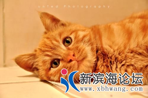 u=78727198,3007473687&amp;fm=26&amp;gp=0.jpg