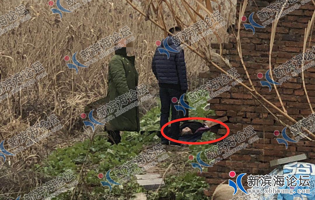 微信图片_20190113103909.jpg