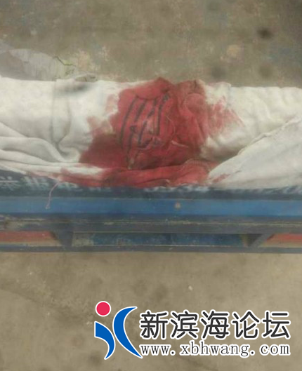 145018q2dbrwj1veztdx9b.png.thumb.jpg